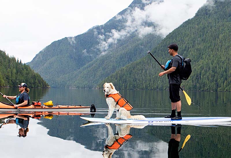 the-dogs-of-clayoquot